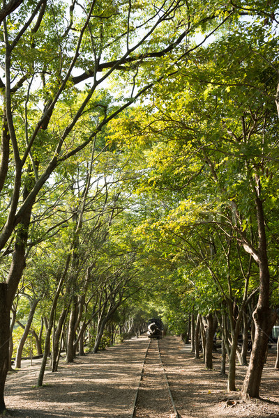 лес железная дорога выстрел лесное хозяйство культура саду Сток-фото © elwynn