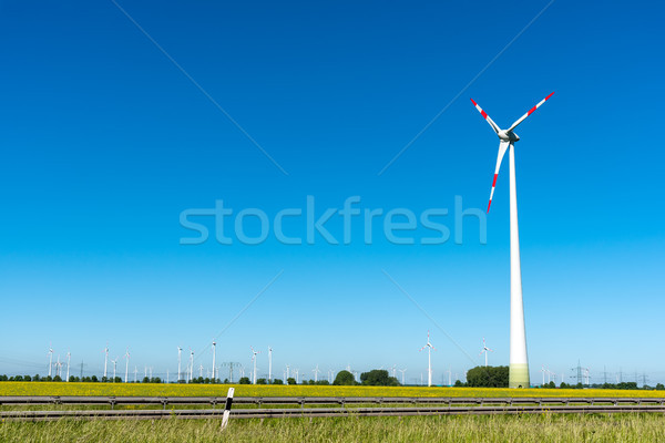 Renewable energy plants with a blue sky Stock photo © elxeneize