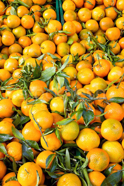 Fresh clementines with green leaves Stock photo © elxeneize