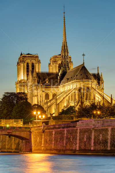 Notre Dame in Paris after sunset Stock photo © elxeneize