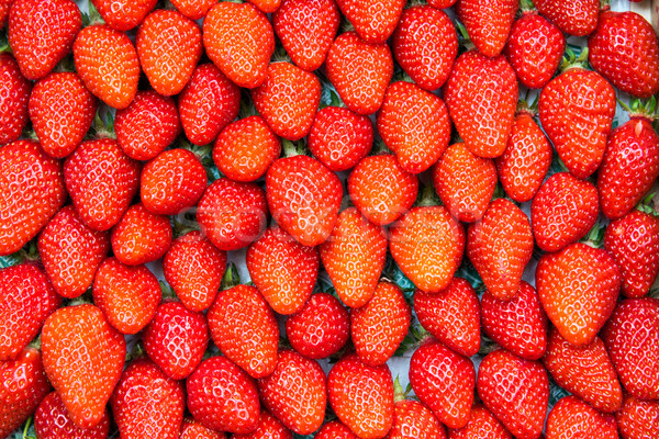 Rosso fragole giardino salute fragola mercato Foto d'archivio © elxeneize