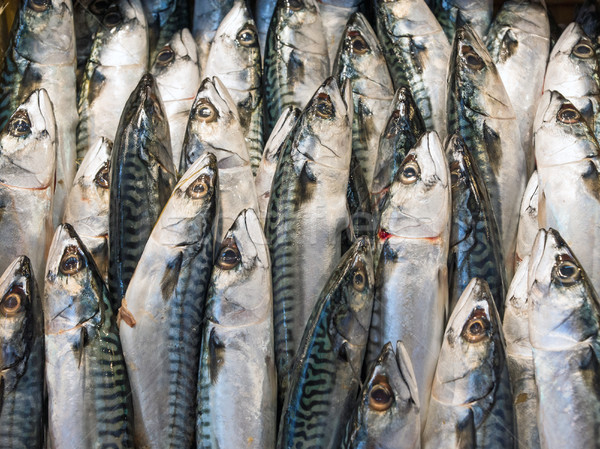 Makrele Fisch Markt frischen Essen Natur Stock foto © elxeneize