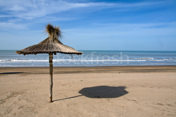 Deserted beach in Argentina Stock photo © elxeneize
