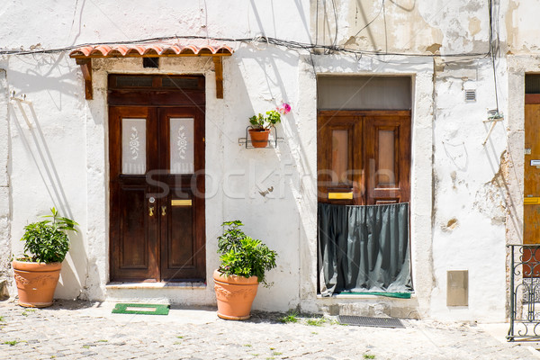 Two entrance doors in Lisbon Stock photo © elxeneize