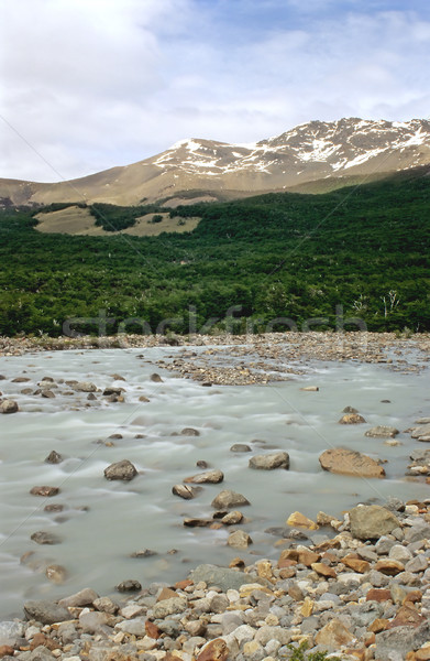 Rio Fitz Roy in Patagonia Stock photo © elxeneize