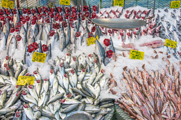 Great choice of fresh fish Stock photo © elxeneize
