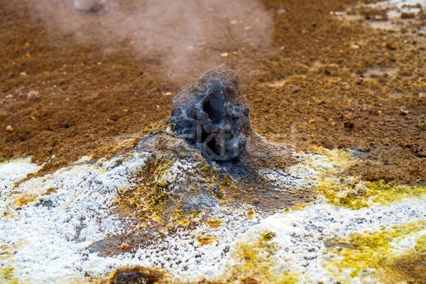 Volcanic landscape in Iceland Stock photo © elxeneize