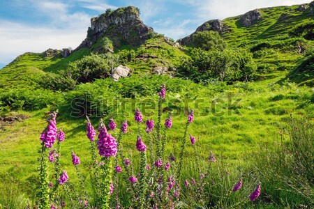 Fairy glen on the Isle of Skye Stock photo © elxeneize