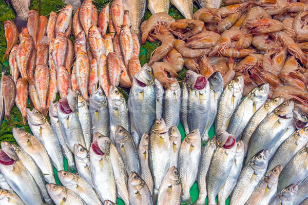 魚 市場 伊斯坦布爾 新鮮 出售 背景 商業照片 © elxeneize