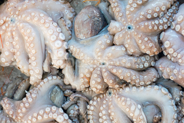 Fresh octopuses at the market Stock photo © elxeneize