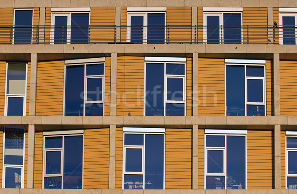 Facade of a modern office building Stock photo © elxeneize