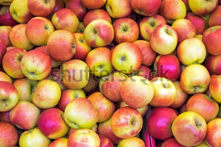 Mercato fresche maturo alimentare frutta arancione Foto d'archivio © elxeneize