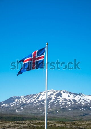 Icelandic flag  Stock photo © elxeneize