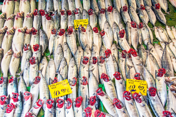 Peşte piaţă Istambul Turcia alimente ocean Imagine de stoc © elxeneize