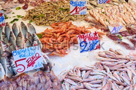 Vis markt istanbul groot bieden Turkije Stockfoto © elxeneize