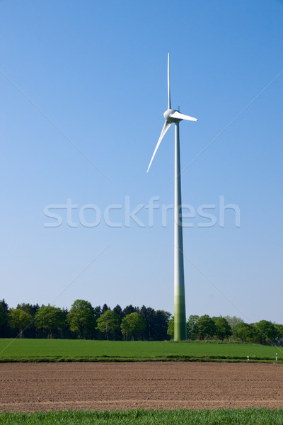 Windwheel in the fields Stock photo © elxeneize