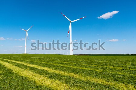 Windwheels in a mowed field Stock photo © elxeneize