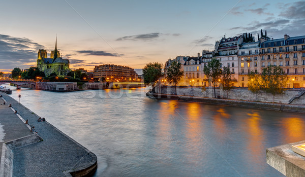 Beautiful evening in Paris, France Stock photo © elxeneize
