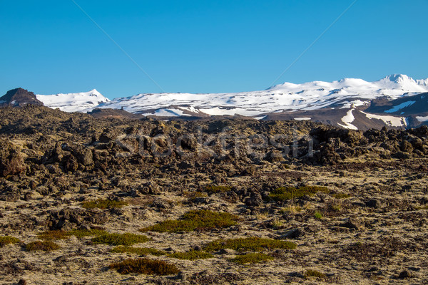 Lava and snow in Iceland Stock photo © elxeneize