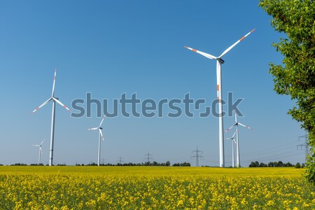 Windwheels and yellow rapeseed Stock photo © elxeneize