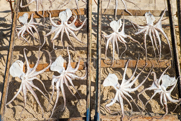 Stock foto: Tintenfisch · Portugal · Strand · Essen · Fisch · Meer