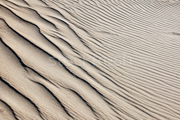 Dune de sable tôt le matin soleil texture mer fond [[stock_photo]] © elxeneize