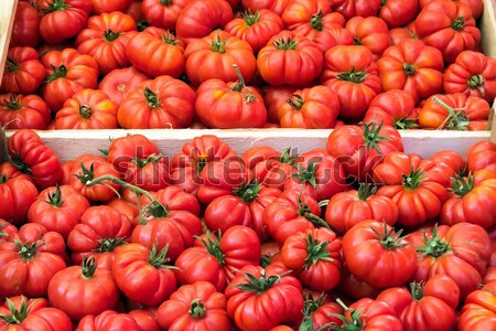 Ripped sicilian tomatoes for sale Stock photo © elxeneize
