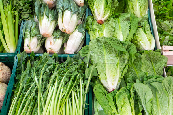 Unterschiedlich Salat Verkauf Markt Bauernhof Anlage Stock foto © elxeneize