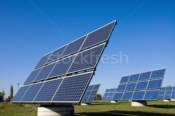 Solarenergie Business Gras Sonne Technologie blau Stock foto © elxeneize