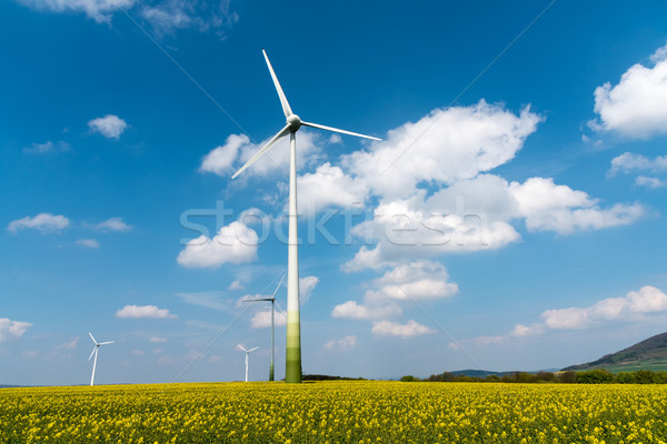 Windwheels in a rapeseed field Stock photo © elxeneize
