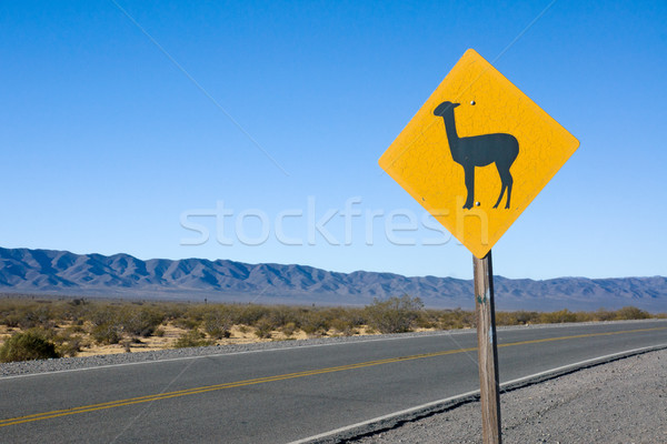 Lama Sign in the andes Stock photo © elxeneize