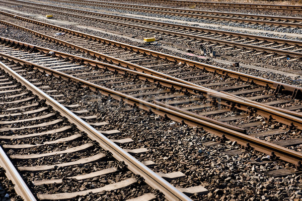 Railroad tracks Stock photo © elxeneize