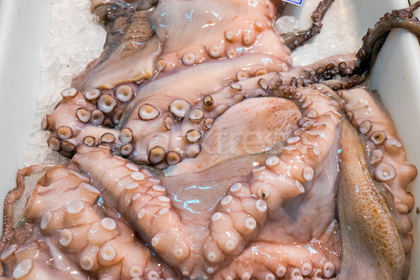 章魚 市場 葡萄牙 里斯本 食品 魚 商業照片 © elxeneize