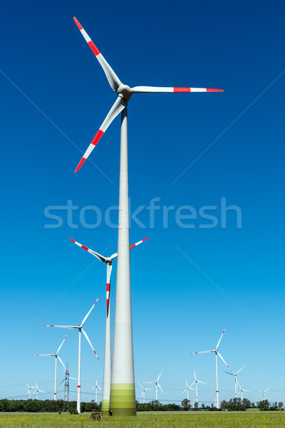 Wind energy plants on a sunny day Stock photo © elxeneize