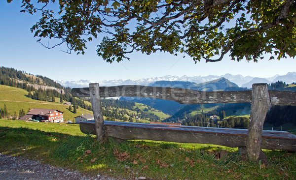 Nice viewpoint in the alps Stock photo © elxeneize