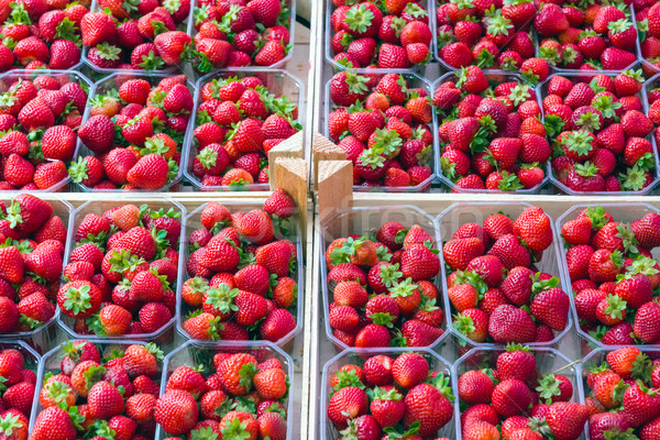 Fresche fragole vendita mercato frutta fragola Foto d'archivio © elxeneize