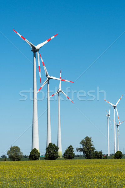 Wind wheels in the fields in Germany Stock photo © elxeneize