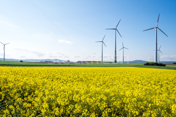 Windwheels and rapeseed in Germany Stock photo © elxeneize