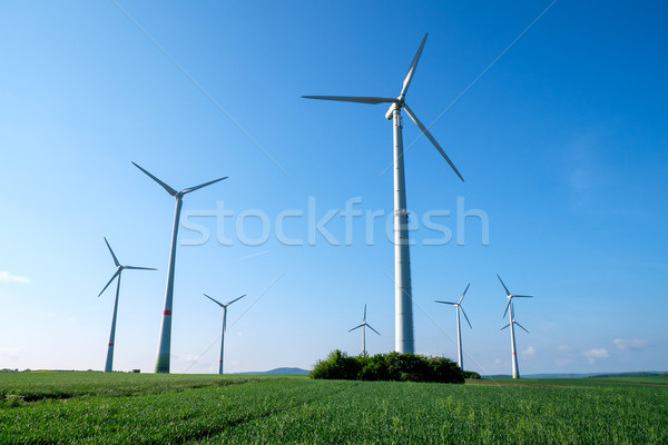 Windwheels on a sunny day Stock photo © elxeneize