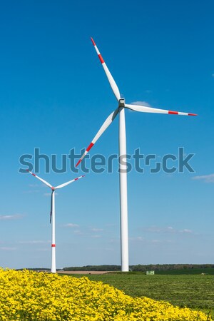 Stock photo: Yellow flowers and windwheels