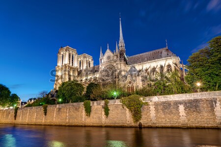 Notre-Dame and the River Seine Stock photo © elxeneize