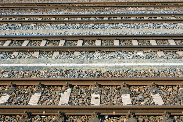 Parallel railroad tracks Stock photo © elxeneize