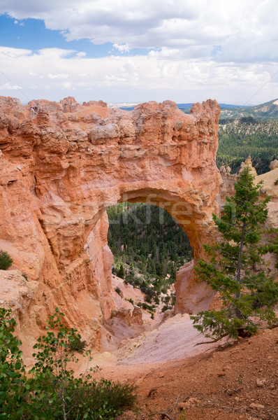 Stormy day at Bryce Canyon Arch Stock photo © emattil