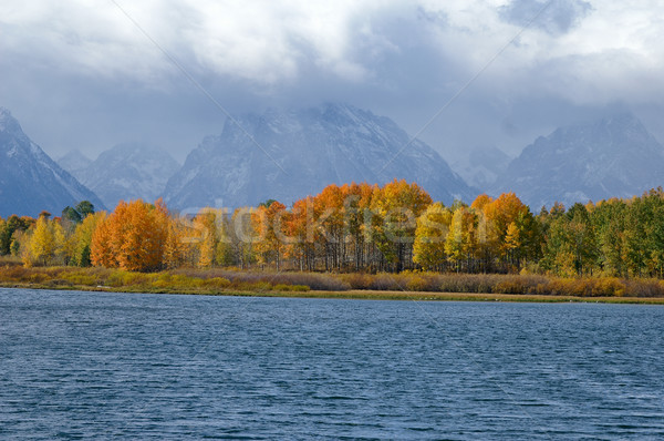 Teton Vista Stock photo © emattil