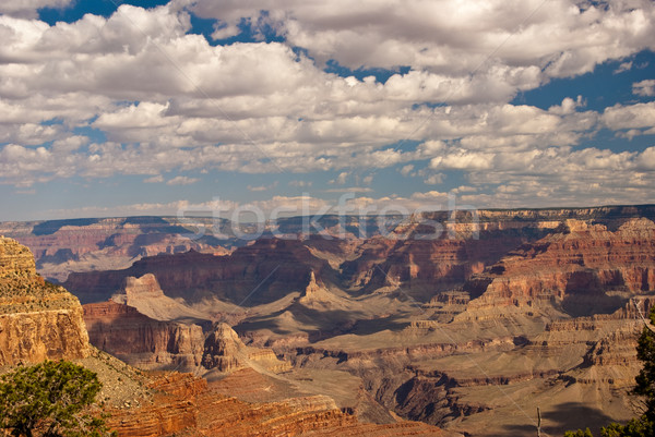 Magnifico Grand Canyon parco Arizona USA panorama Foto d'archivio © emattil