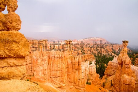 Sandstein rock Canyon Park Utah USA Stock foto © emattil
