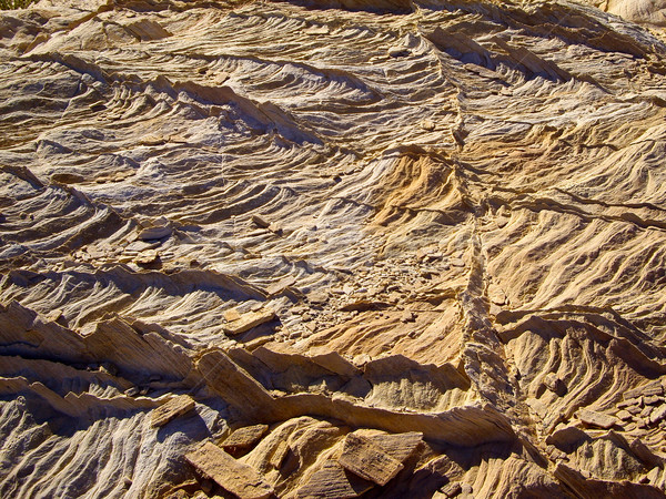 Desert Fins Stock photo © emattil