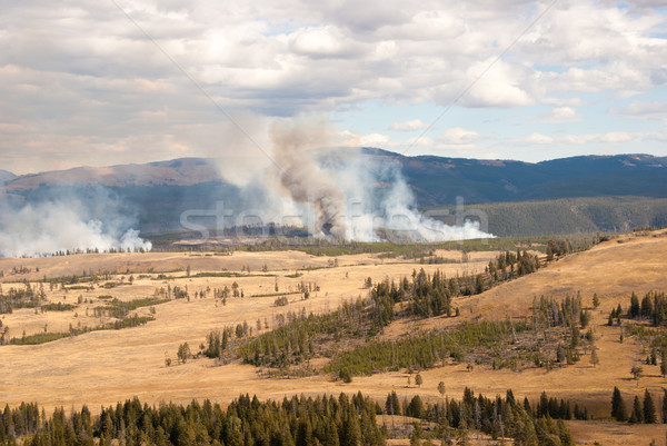 ストックフォト: 火災 · 公園 · 森林火災 · ワイオミング州 · 米国 · 雲