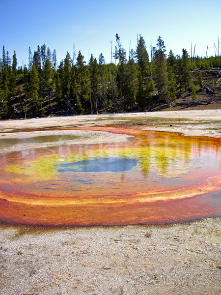 Orange and Yellow thermal pool Yellowstone Stock photo © emattil