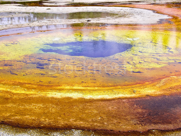 カラフル 公園 米国 森林 木 ストックフォト © emattil